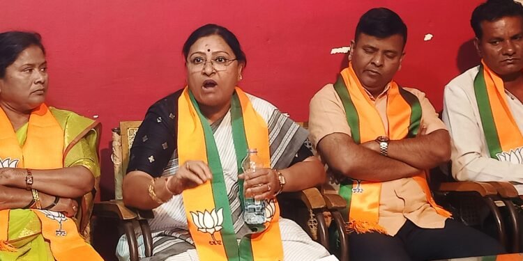 ಕಾರ್ಖಾನೆಗಳಿಂದ ಭೂಮಿ, ನೀರು, ಗಾಳಿ, ಆಹಾರ ಮಾಲಿನ್ಯ ಎಂಎಲ್ಸಿ ಹೇಮಲತಾ ನಾಯಕ