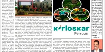 ಹೊಸಶಕೆ ದಿನಪತ್ರಿಕೆ