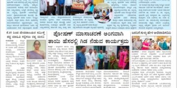 ಹೊಸಶಕೆ ದಿನಪತ್ರಿಕೆ